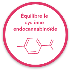 Le CBD peut équilibrer le système endocannabinoïde